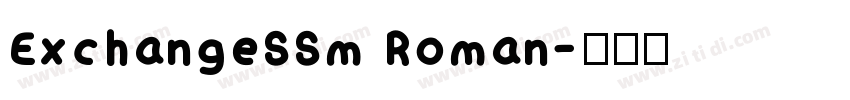 ExchangeSSm Roman字体转换 ExchangeSSm Roman字体转换